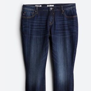 NWT vigoss 16w indigo skinny jeans from StitchFix